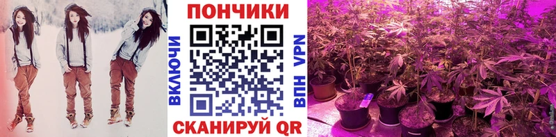 Где купить Курганинск Конопля Мефедрон Амфетамин ГАШ
