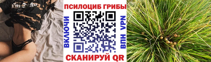 сколько стоит  Курганинск  Галлюциногенные грибы прущие грибы 